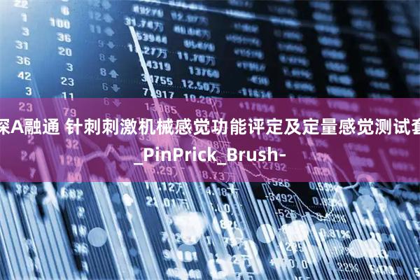泸深A融通 针刺刺激机械感觉功能评定及定量感觉测试套件_PinPrick_Brush-