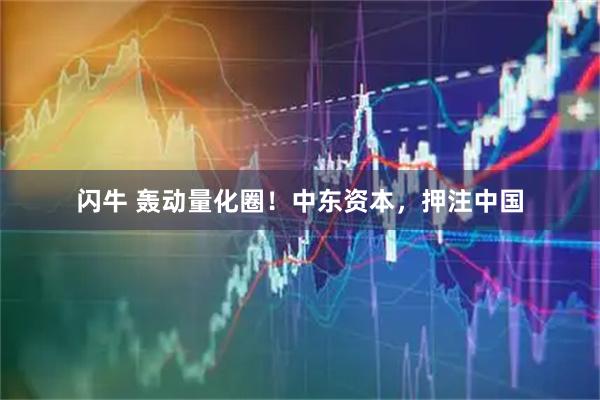 闪牛 轰动量化圈！中东资本，押注中国